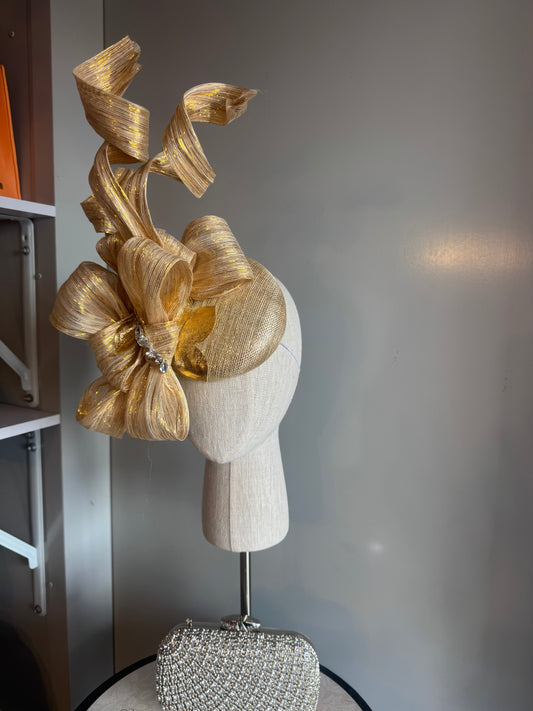 “Sally” Gold statement